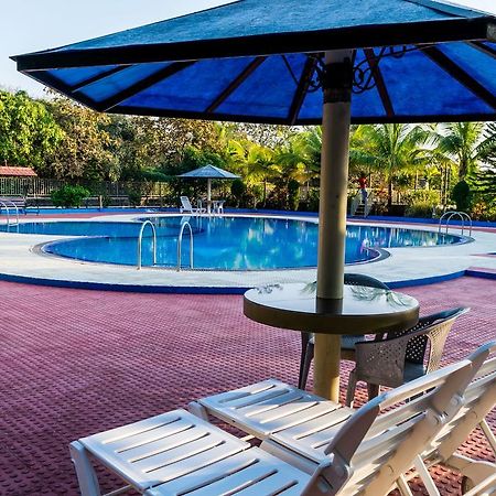 Amidhara Resort Sasan Gir Buitenkant foto